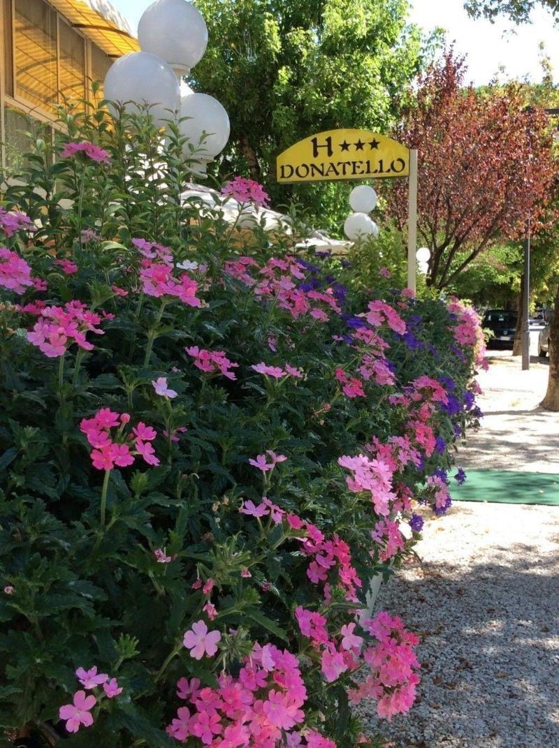 Hotel Donatello Cesenatico Luaran gambar